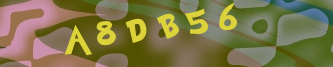 Validation Image